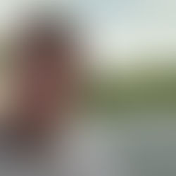 Democracy demands more than blind obedience