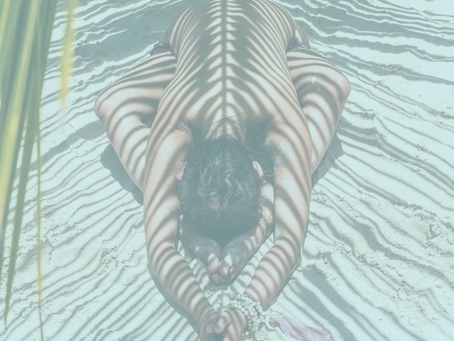 What is the Spinal Flow Technique?