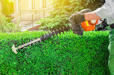 iStock-959860562.jpg