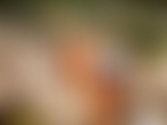 Andamento das obras e inaugurações da Construtora TEDESCO previstas para 2023