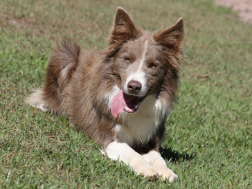lilo-00287B22844-687F-EF9E-59B0-EF66313E23DC.jpeg