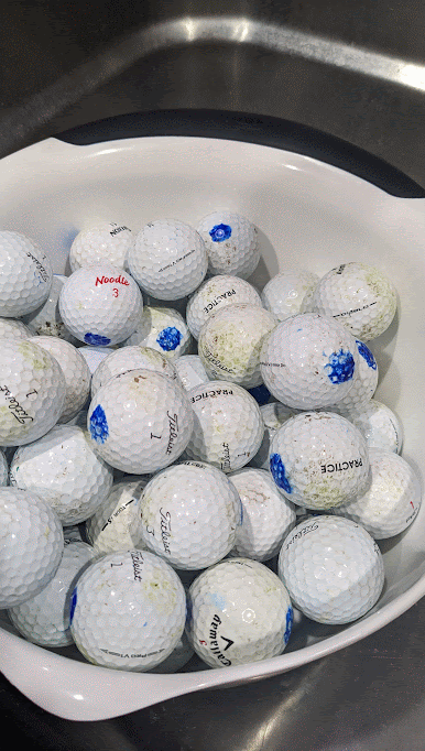 PXL_20220812_055001190-ANIMATION.gif
