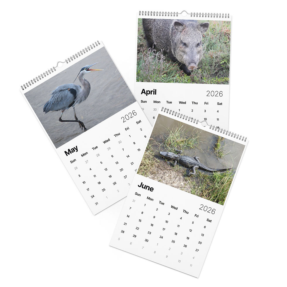 Thumbnail: Wildlife Wall Calendar (2026)