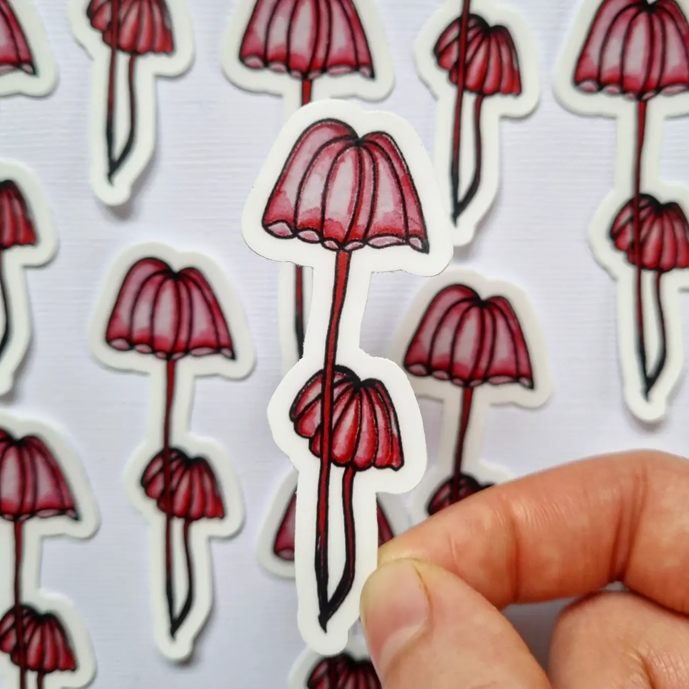 Marasmius Pulcherripes [Sticker]