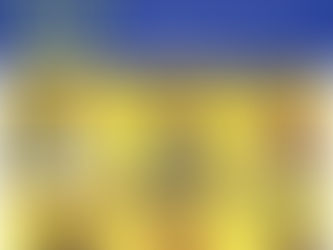 Meet our Community Ambassadors!