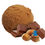 Thumbnail: Bacio (Chocolate Hazelnut) Gelato 100ml
