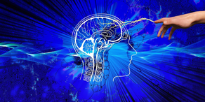 La Psychologie Crypto pour les Débutants