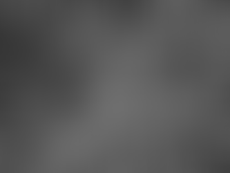 Rasterelektronenmikroskopische Aufnahme (REM) eines aus Bakterien und Archaea bestehenden Multispezies-Biofilms, der aus einer Ölquelle isoliert wurde.  