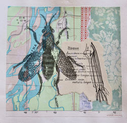 Susitna