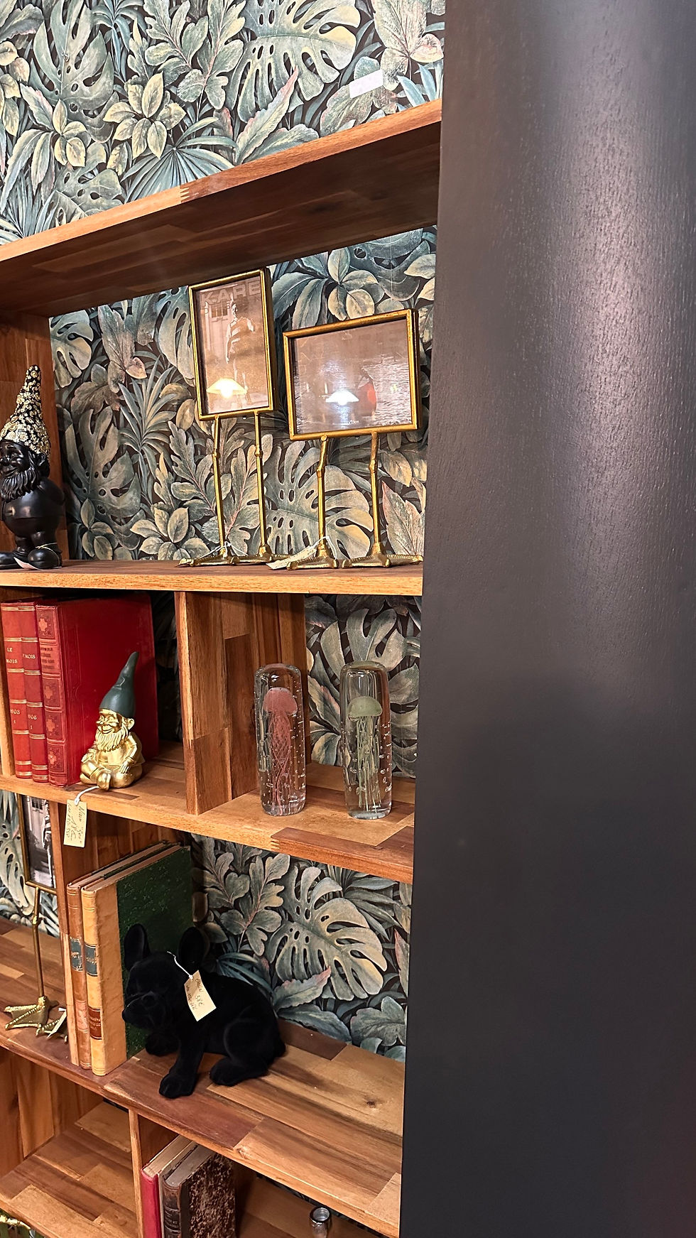 Miniature : Bibliothèque courbe
