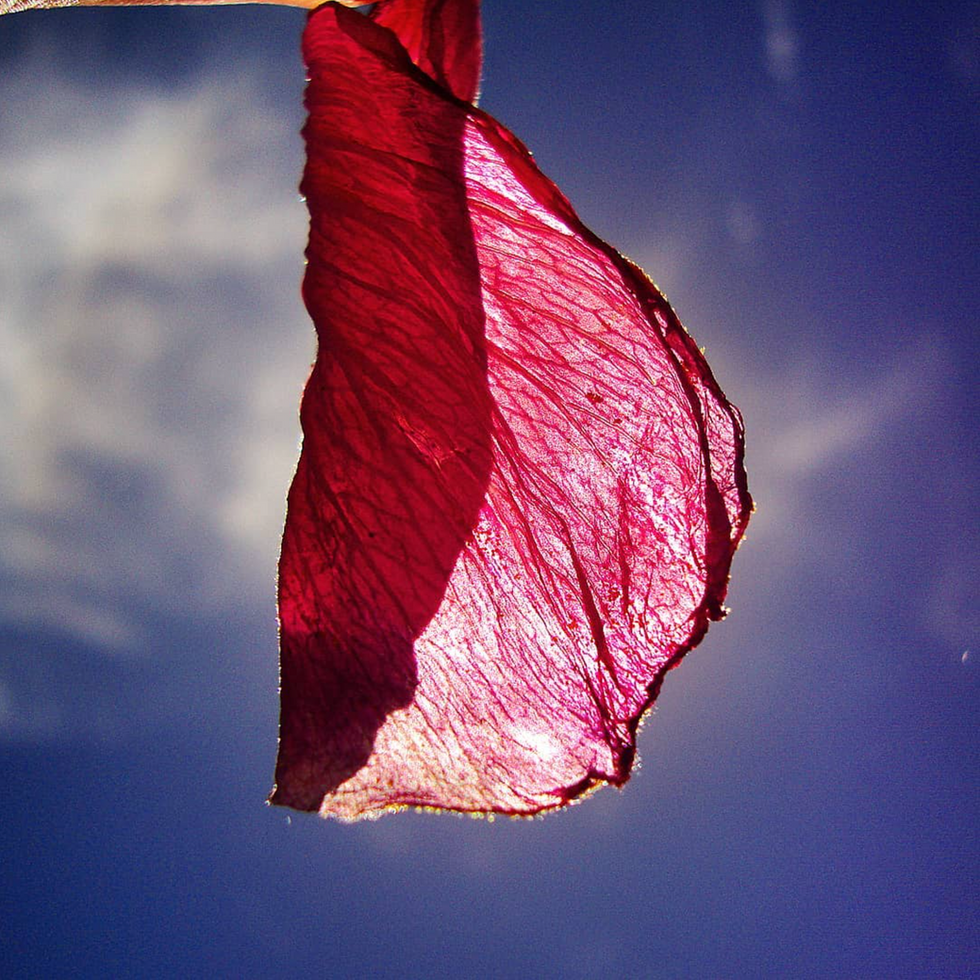 Captura de Tela 2023-08-08 às 15.51.16