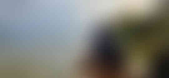 20241013_161233