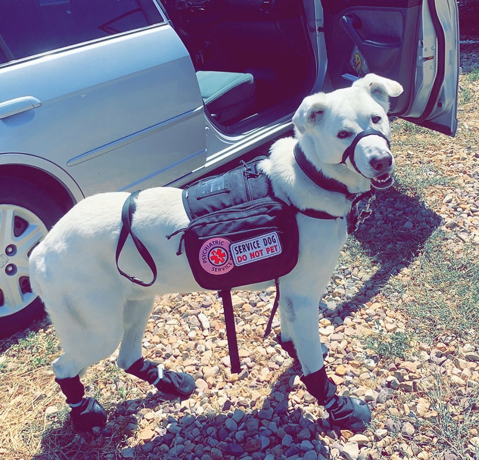 KodasClassroom_Training_13.jpg