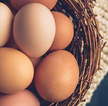 eggs.jpg