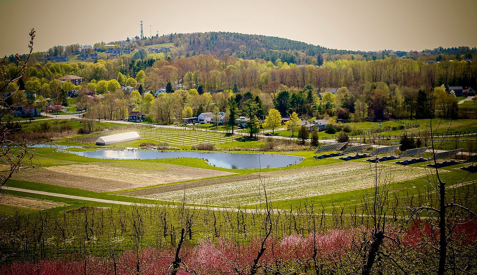 Cider Hill Farm's orchards offer beautiful views of historic Amesbury.