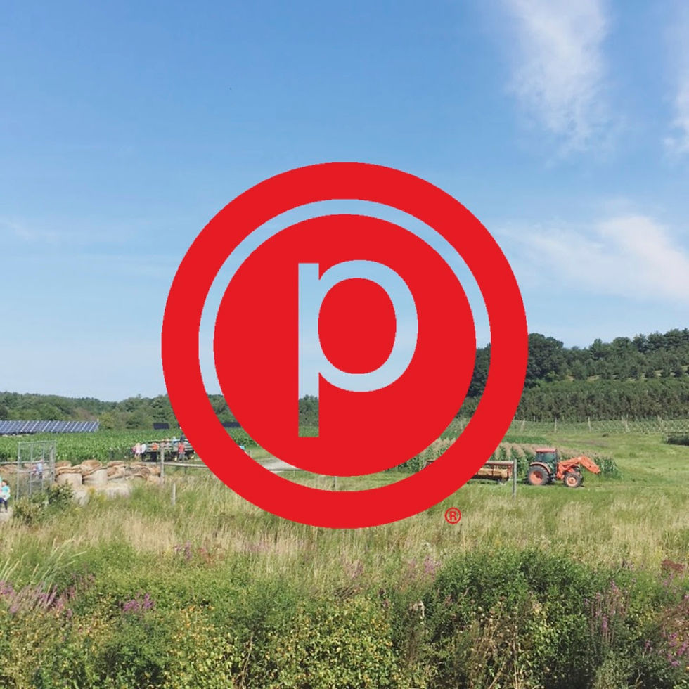 Free Monthly Pop Up with Pure Barre