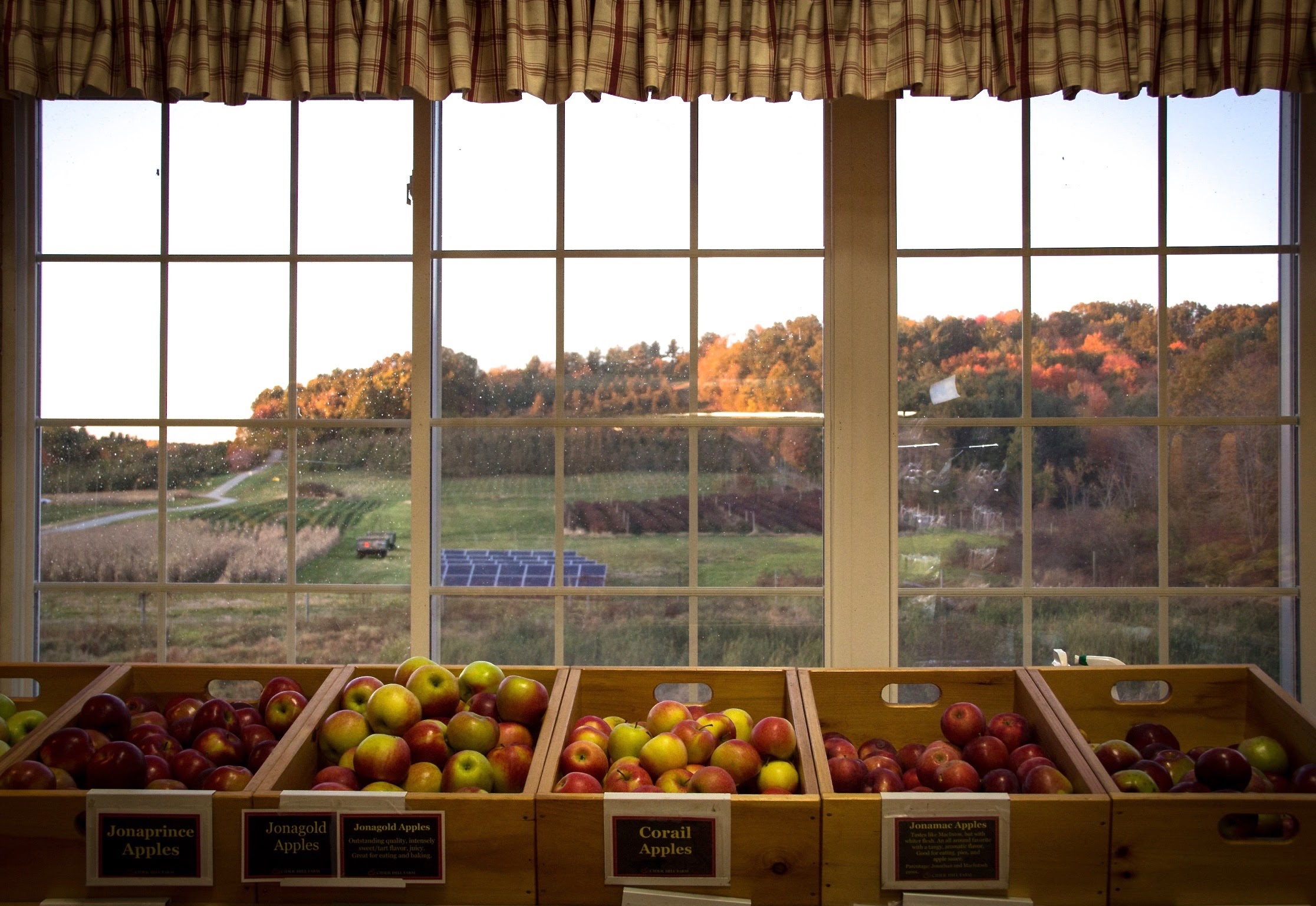 cider hill farm cider hill farm
