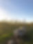 spring hives.jpeg
