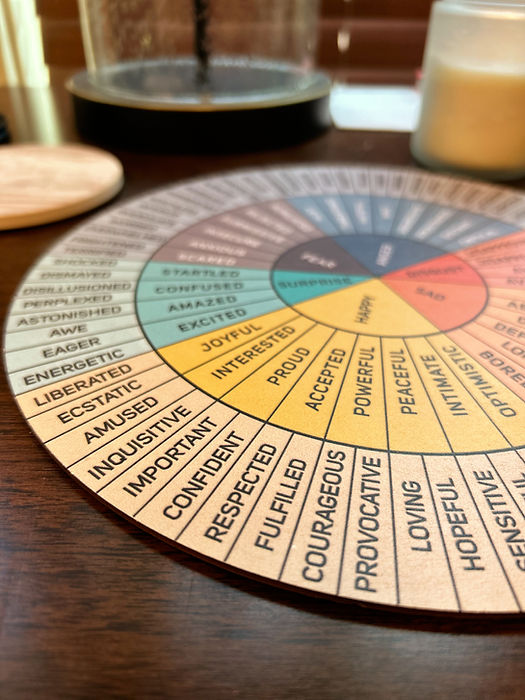 emotion wheel_edited.jpg