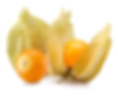 Cape gooseberries 1.jpeg
