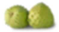 Soursop 1.jpeg