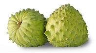 Soursop 1.jpeg