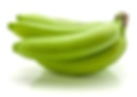 Plantain 1.jpeg
