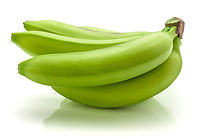 Plantain 1.jpeg