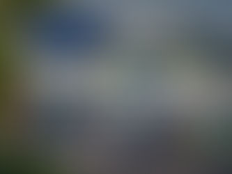 Laboratory glassware and regulatory documents with EU flag and European Parliament in background illustrating EU Biocidal Products Regulation data protection extension and regulatory compliance for companies.