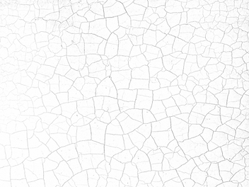 Cracked Earth