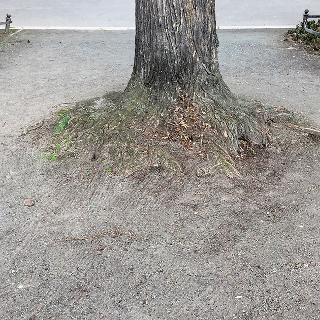 #02 VIKTORIA-LOUISE-PLATZ, BERLIN