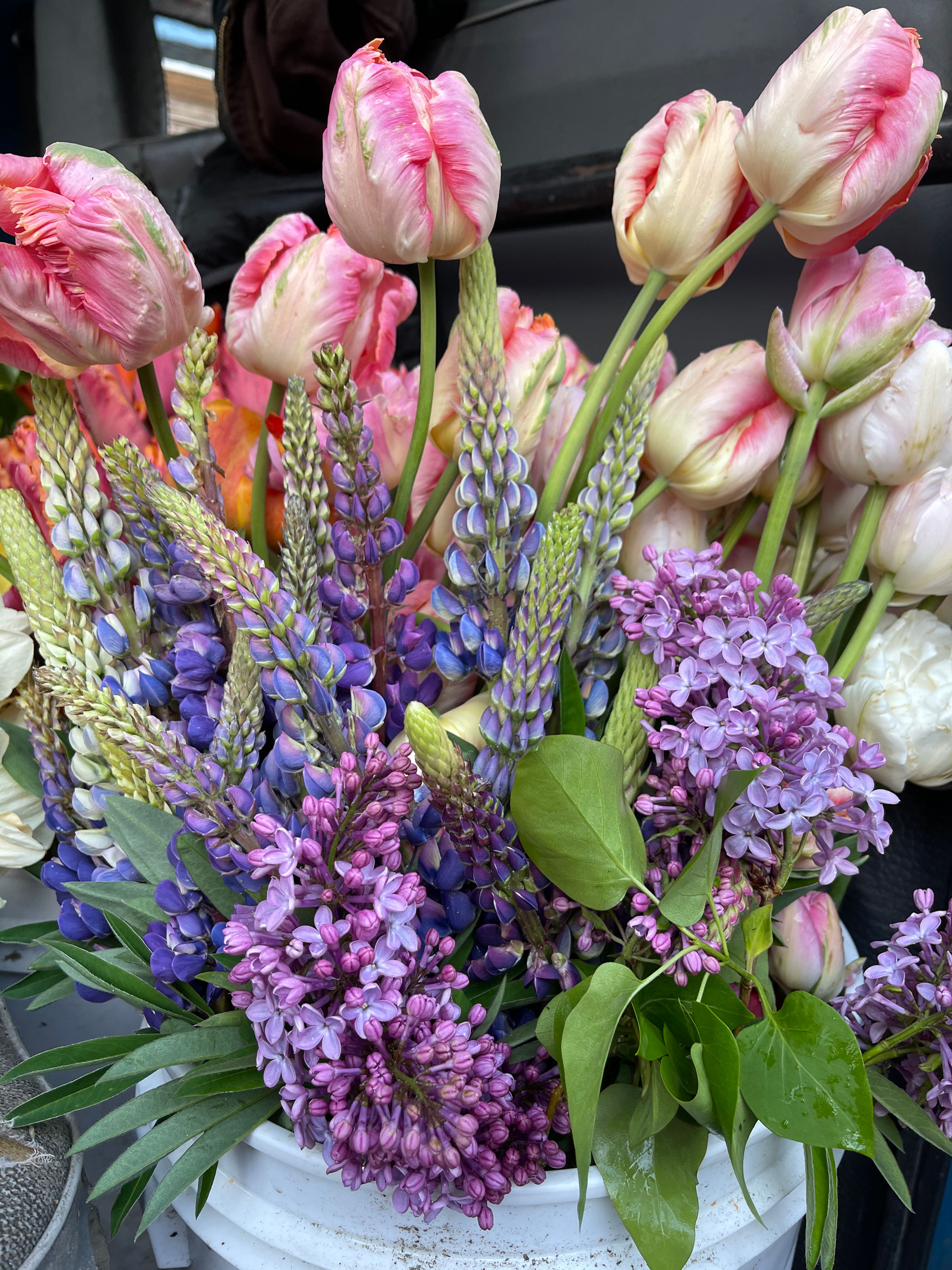 Early bloomers - local CSA share