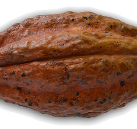 KakawFruit.jpg