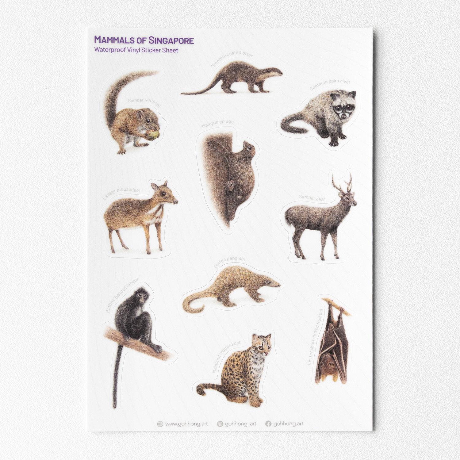 Mammals of SG – Sticker sheet