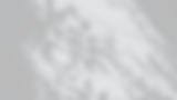 fundo_grey.png