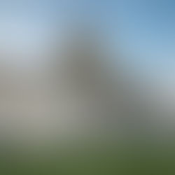 AMEMSA Representation in Politics