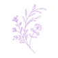 Untitled_Artwork 12.png