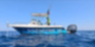Screenshot 2024-07-29 175820_edited.jpg