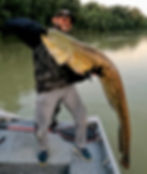 Tiber - Fishing in Rome