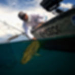 Italic Pike - Fishing in Rome