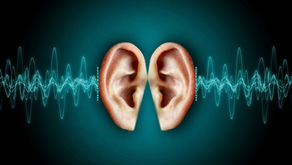 The Signals We Stop Hearing
