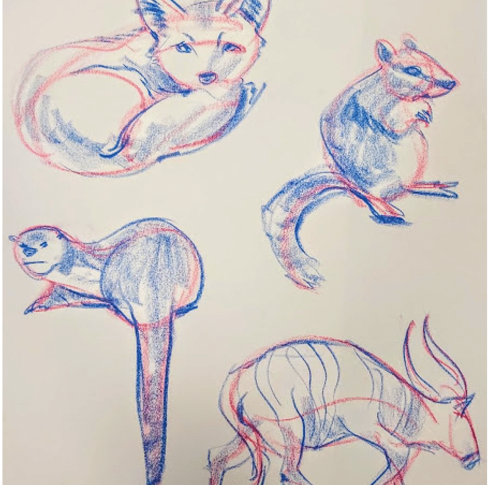 A gif of multiple artworks displaying the principle of design, variety