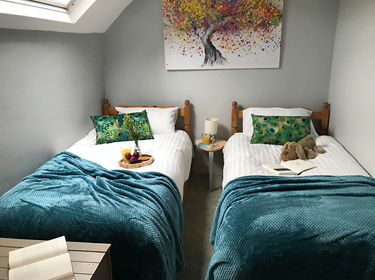 Bedroom 3 - Twin room
