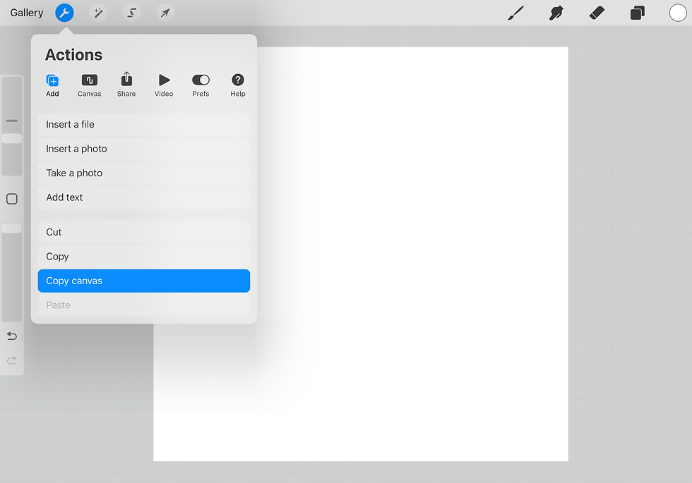 screen image of Procreate settings for tutorial
