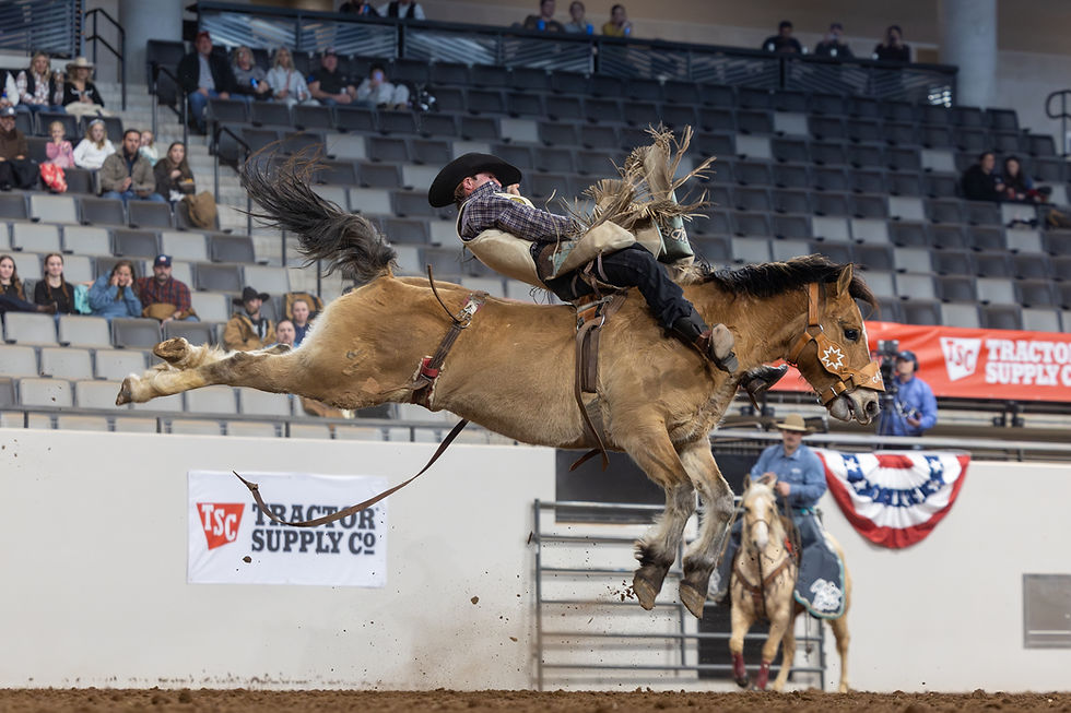 Photo by Nicole Stevens