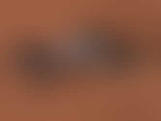 FWSSR Bracket 2 Round 1 & 2