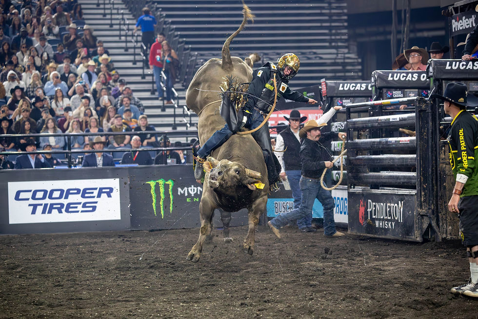 Brady Fielder with 92.35 points on Sucker Punch in Rd 1. Photo by Elaine Kimball