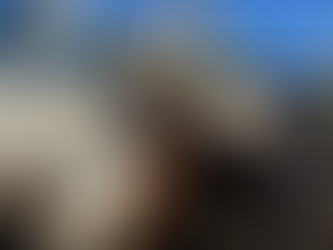 C5 Rodeo Announces Virgil's Retirement After the 2025 NFR