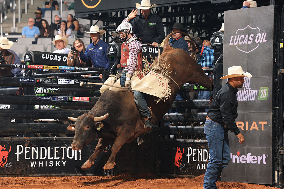Photo courtesy of Bull Stock Media & PBR