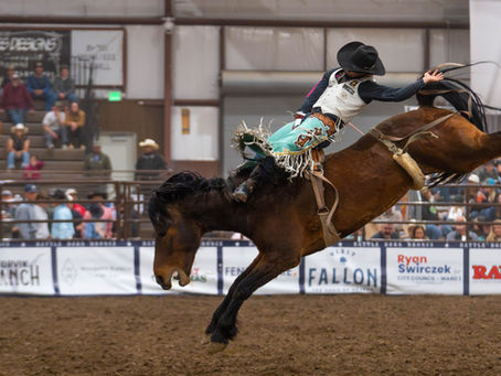Battle Born Broncs